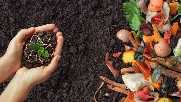 - Composting: How to Compost Without Having a Breakdown 2026 - October