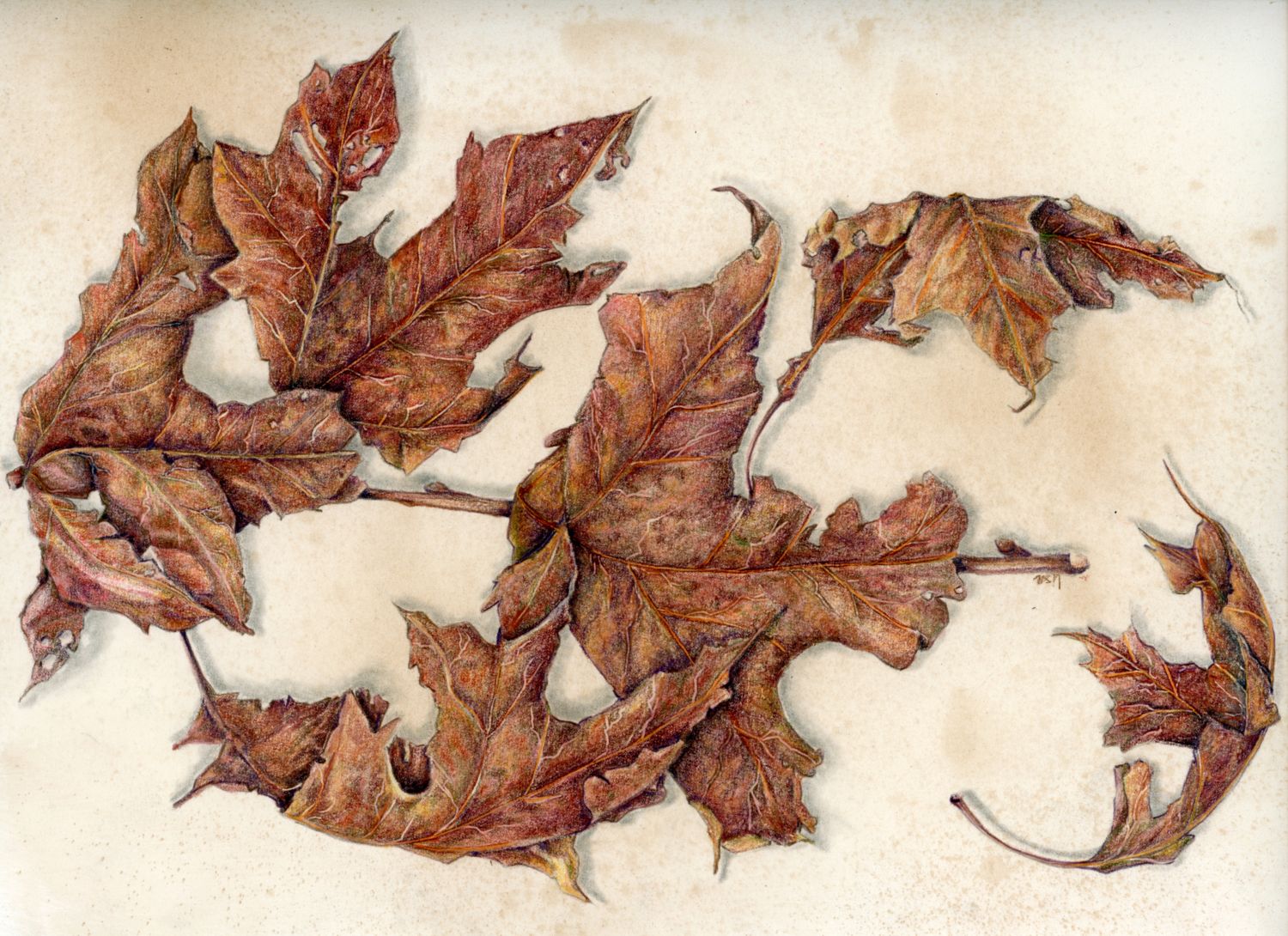 - Seasonal Colored Pencil Workshop: Leaves 2026 - November