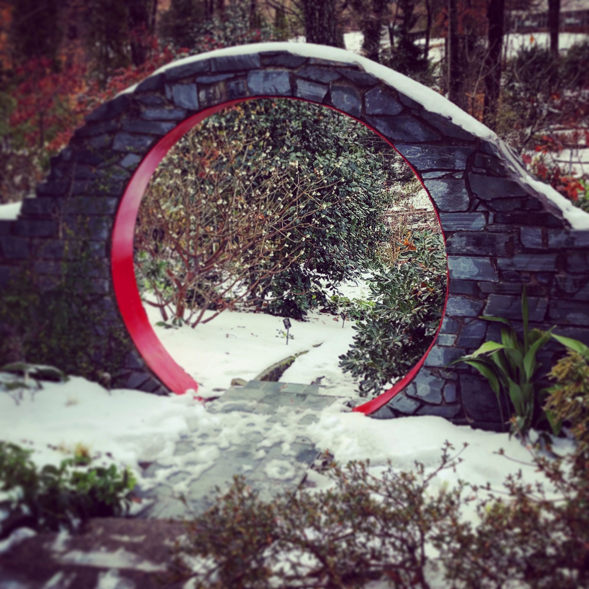 The Piedmont Winter Garden (November 2025)