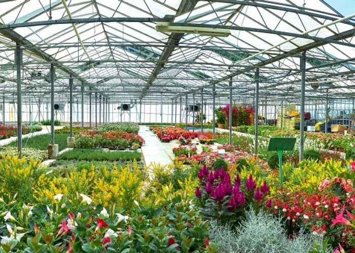 - Introduction to Horticulture 2026 - August